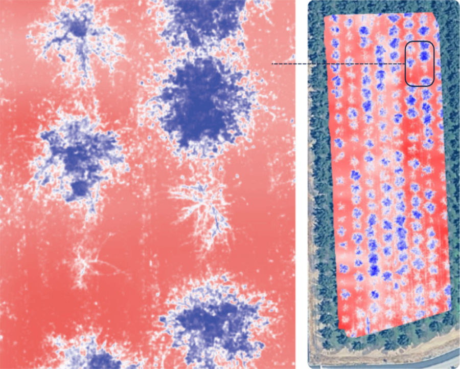 NDMI moisture map showing plant-by-plant water stress