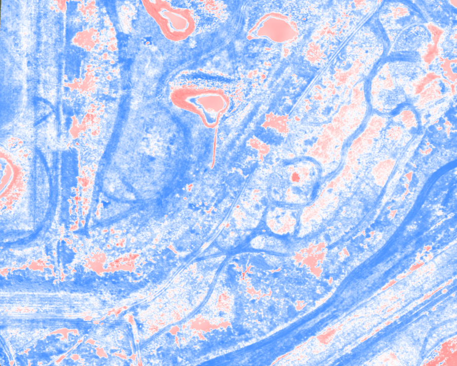 NDMI moisture map of a wetland environment